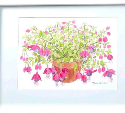 Watercolour painting of Flowering Fushia in a pot by an Irish artist. Buy paintings for your home or office 100% hassle free shopping